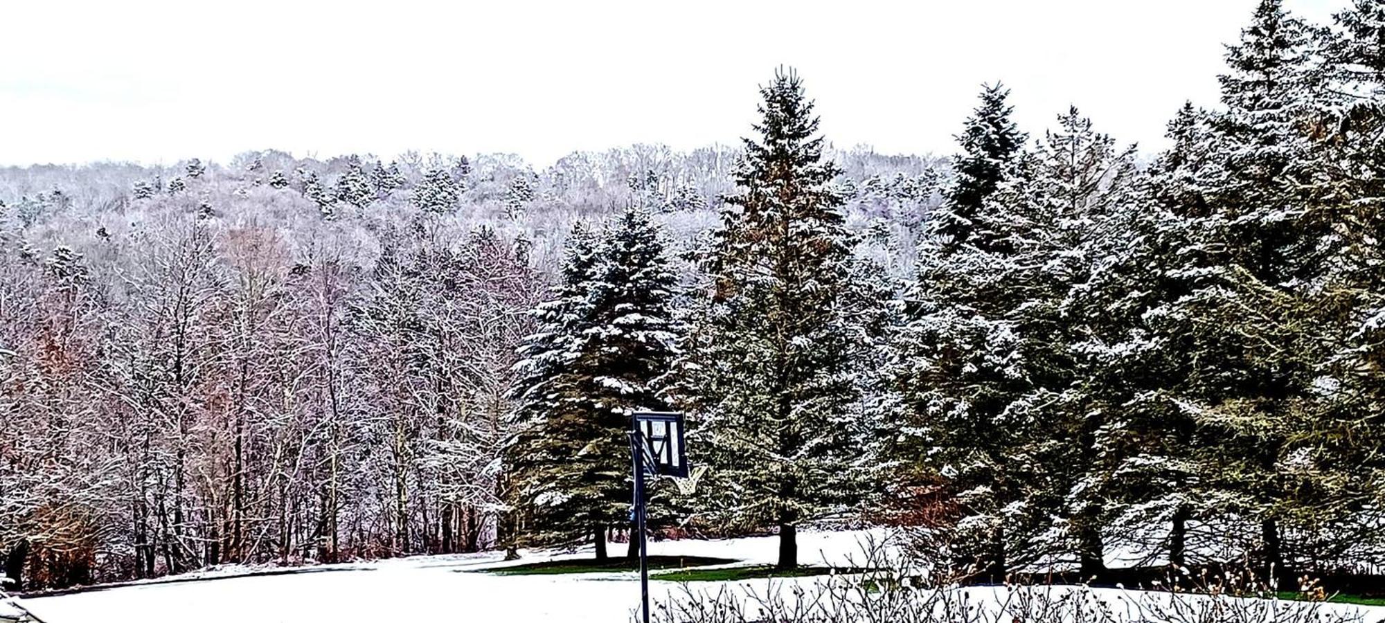 Escape To The Catskills Liberty Exterior foto